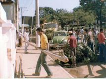 Descarregando as madeiras